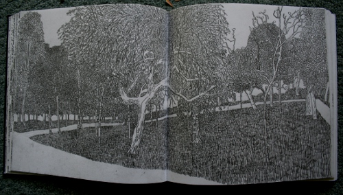 Downhills Park, Autumn 2010 sketchbook)