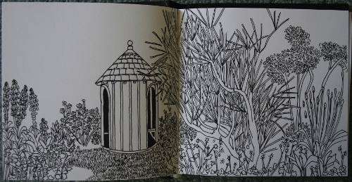 Ham House wilderness