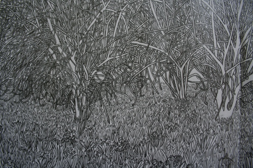 Mottisfont Abbey parkland, Spring 2011