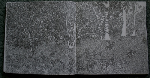 Mottisfont Abbey parkland, Spring 2011