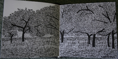 Regents Park zoo side