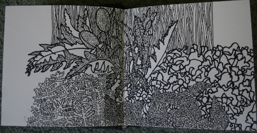 Vegetable Patch and Poppies